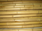 Tyč bambusová 120cm 8-10mm